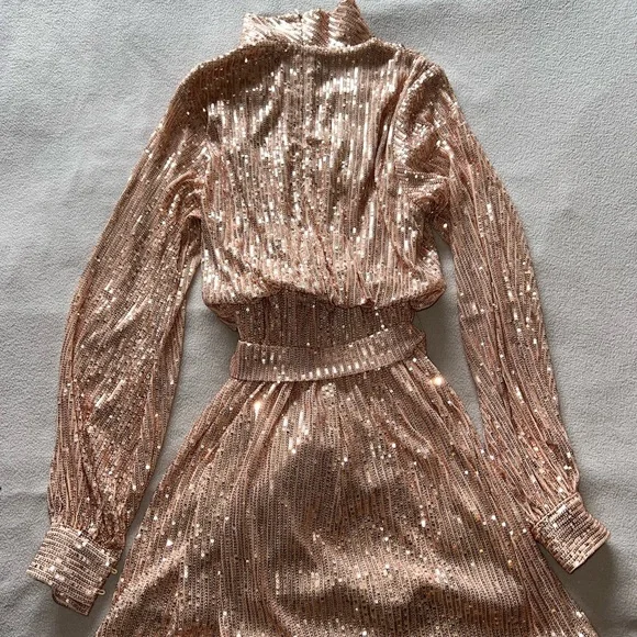 Rose Gold XS Shimmer Dress - Picture 5 of 5